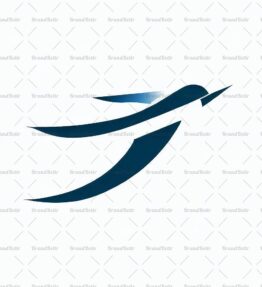 Flugzeug