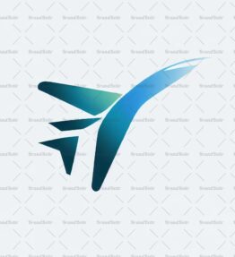 Flugzeug
