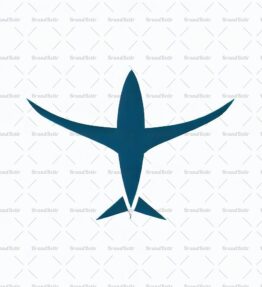 Flugzeug