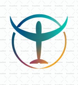 Flugzeug