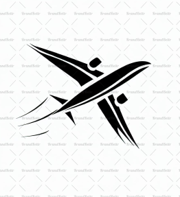 Flugzeug