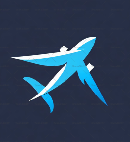 Flugzeug