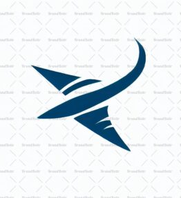 Flugzeug