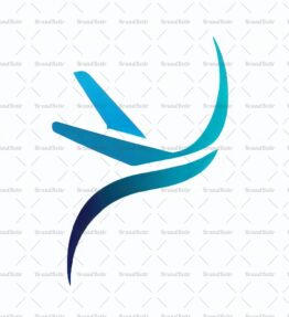 Flugzeug