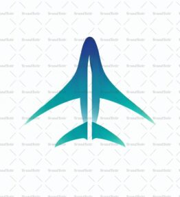 Flugzeug