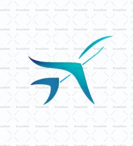 Flugzeug