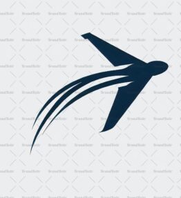 Flugzeug