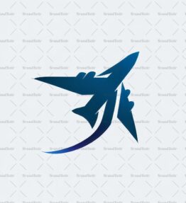 Flugzeug