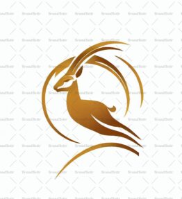 Gazelle