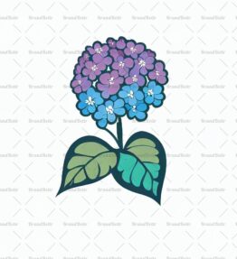 Heliotropblume