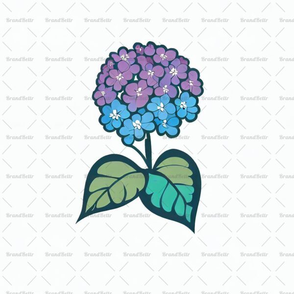 Heliotropblume