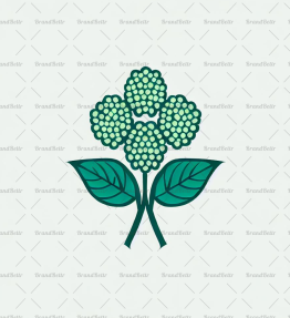 Heliotropblume