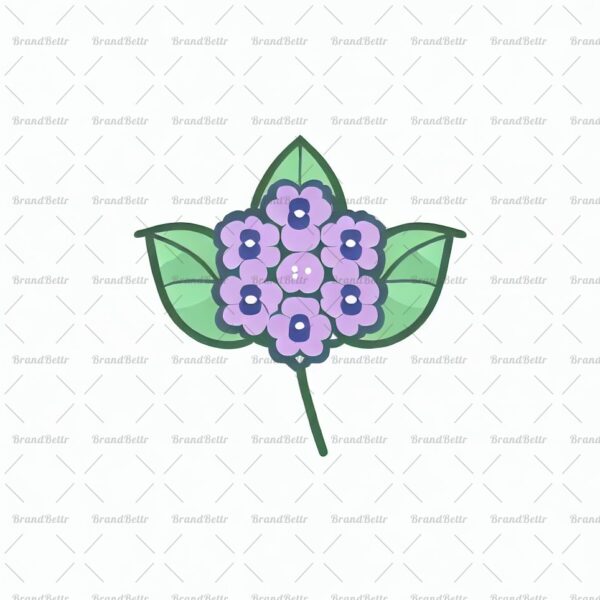 Heliotropblume
