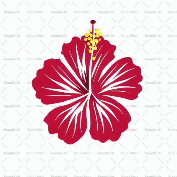 Hibiskus