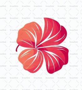 Hibiskus