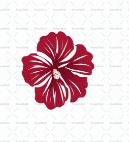 Hibiskus
