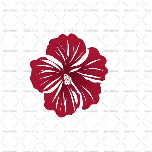 Hibiskus