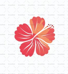 Hibiskus