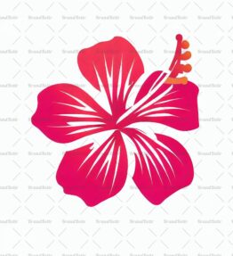 Hibiskus