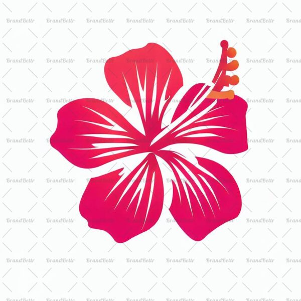 Hibiskus
