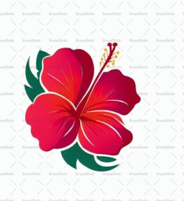 Hibiskus