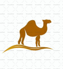 Kamel