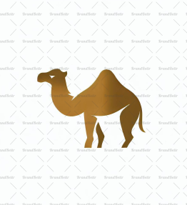 Kamel