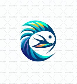 Kamera