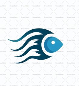 Kamera