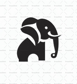 Kamera