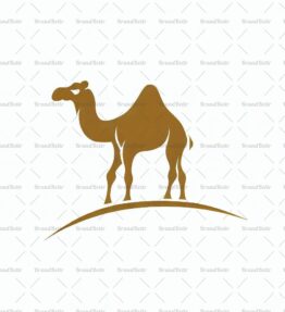 Kamera