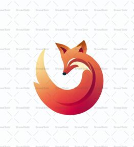 Kamera