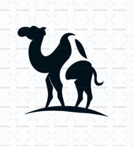 Kamera