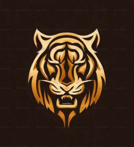 Kamera