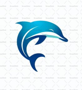 Kamera