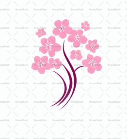 Kirschblüte