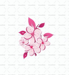 Kirschblüte