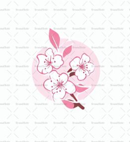 Kirschblüte