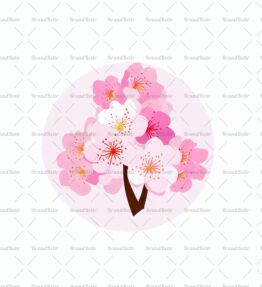 Kirschblüten