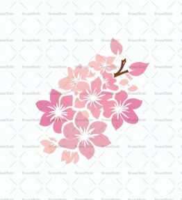 Kirschblüten