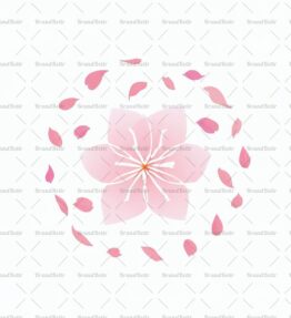 Kirschblütenblätter