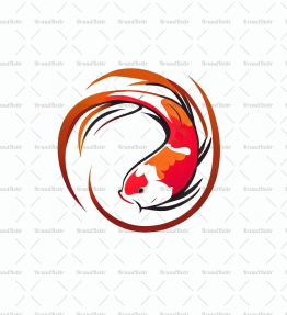 Koi