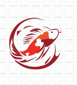 Koi
