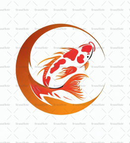 Koi