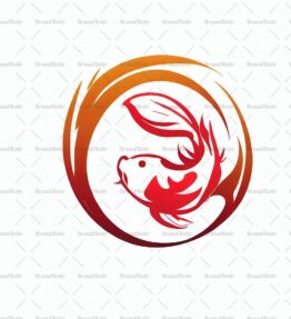 Koi