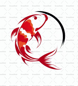 Koi