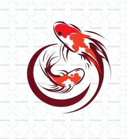 Koi