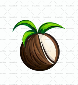 Kokosnuss
