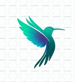 Kolibri