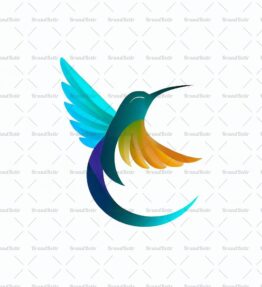 Kolibri